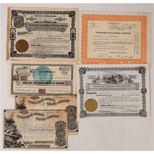 Tuolumne County Mining Stocks, 6 [177636]