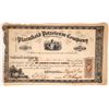 Image 1 : Plainfield Petroleum Stock, 1865 [177133]