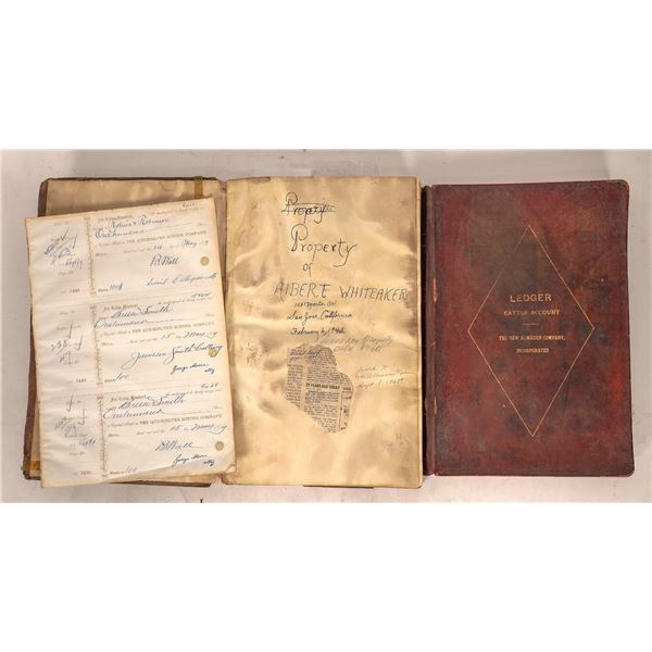 Almaden Quicksilver Mining Company Ledgers, 1879-1916 (3) [178910]