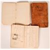 Image 1 : New Almaden Mine Record Books (3) [178832]