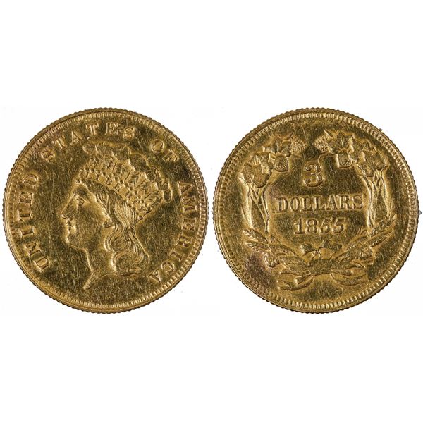 Indian Princess Head $3 Gold Piece  1855 [163145]