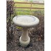 Image 2 : Bird bath