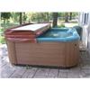 Image 1 : HOT TUB W/ COVER