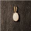 Image 1 : 14K YELLOW GOLD OPAL PENDANT