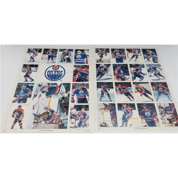 1991 Edmonton Oilers Panini Sticker Sheets Unused