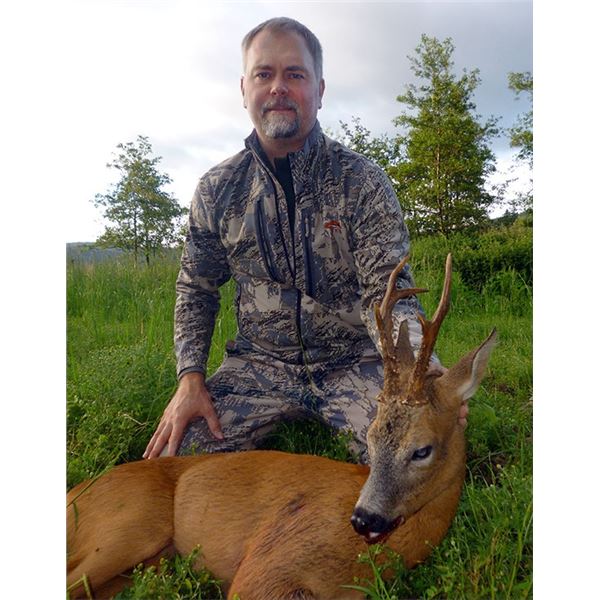 SCOTLAND ROE DEER HUNT