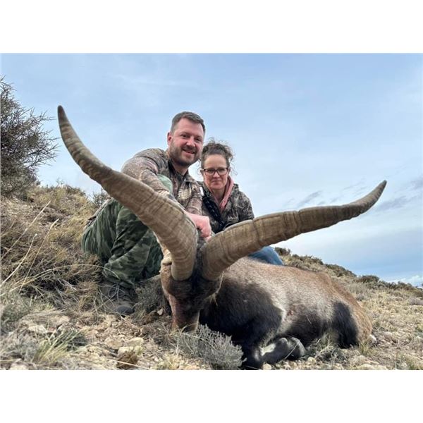 SPAIN IBEX HUNT: Beceite Ibex