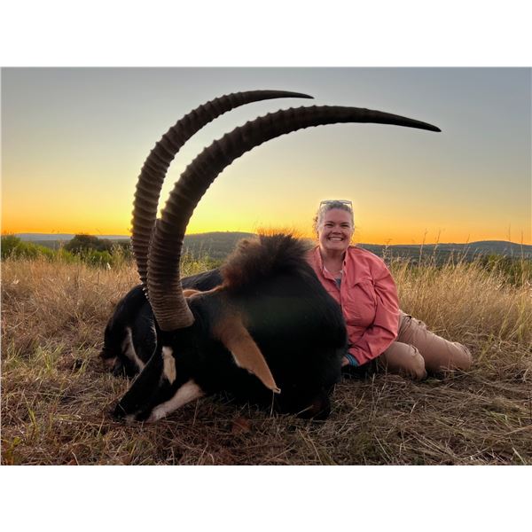 SOUTH AFRICA SABLE AND PLAINS GAME HUNT: