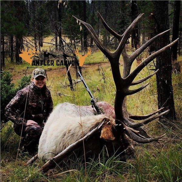 NEW MEXICO ELK HUNT MUZZLELOADER HUNT