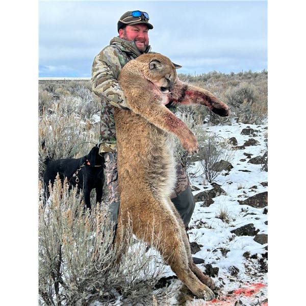 NEVADA MOUNTIAN LION HUNT