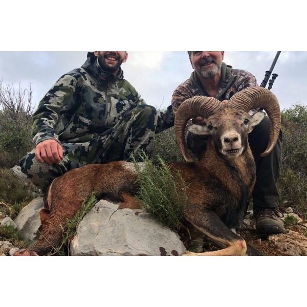 SPAIN IBERIAN MOUFLON HUNT