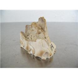 Relief carving of ivory swans 1" high ()