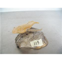 3-1/2" bone whale mounted on bone base- imported, not Alaskan ()