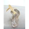 Image 4 : 3-3/4" bone whale- imported, not Alaskan ()