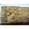 Image 2 : 8-1/2" mastodon bone relief carved dragon mounted on wood base- imported, not Alaskan ()