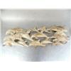 Image 1 : Large pod of swimming whales- approx. 17 whales- carved out of bone- imported, not Alaskan ()