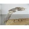 Image 2 : Pod of 4 whales carved out of antler and mounted on bone- imported, not Alaskan ()