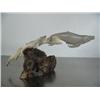 Image 2 : Pod of 4 whales carved out of antler mounted on bone- imported, not Alaskan ()