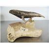 Image 1 : 6" bone whale mounted on bone base- imported, not Alaskan ()