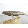 Image 2 : 6" bone whale mounted on bone base- imported, not Alaskan ()
