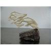 Image 3 : Pod of 5 whales carved out of antler mounted on chunk of mammoth tooth- imported, not Alaskan ()