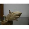 Image 3 : 8-3/4" bone shark- imported, not Alaskan ()