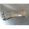 Image 1 : 8" ancient leg bone probably from horse or camel ()