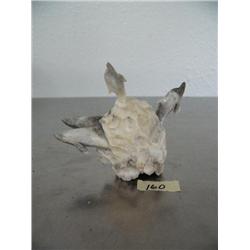 Group of 4 breaching whales carved of antler- imported, not Alaskan ()