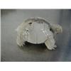 Image 2 : 1-3/4" carved bone tortoise- imported, not Alaskan ()