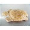 Image 3 : 5" carved bone turtle- imported, not Alaskan ()