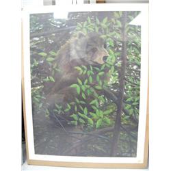 Bear print by Steve Levine signed and number 256 of 1,000