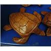Image 1 : QUANTITY 24: wooden carved turtles- top bidder takes as many as they want ()