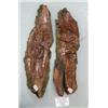 Image 1 : Lot of 2 relief wood carvings (112)