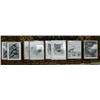 Image 1 : Lot of 8 shrink wrapped prints by Robert Patterson depicting various Alaskan animals (112)