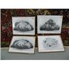 Image 1 : Lot of 4 shrink wrapped prints by Robert Patterson depicting various Alaskan animals (112)