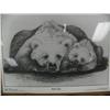 Image 2 : Lot of 4 shrink wrapped prints by Robert Patterson depicting various Alaskan animals (112)
