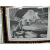 Image 4 : Lot of 9 shrink wrapped prints by Robert Patterson depicting various Alaskan animals (112)