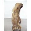 Image 5 : Walrus jaw walrus with ivory tusks- 8-1/2" high by Slwooko ()