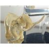 Image 2 : Cracked ivory elephant- 3" ()