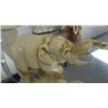 Image 2 : African ivory elephant- 5" ()