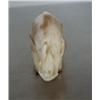 Image 2 : Ivory boar 3" long ()