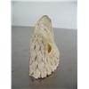 Image 3 : Bone eagle's head- 3" long ()