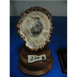 CHOICE on 4 elk antler butt carvings: mountain man and eagle ()