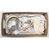 Image 1 : SEA SHELLS-  ASSORTED LOT