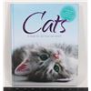 Image 1 : CATS: A BOOK FOR ALL TRUE CAT LOVERS