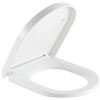 NEW SADALAK D SHAPE EASY CLEAN TOILET SEAT