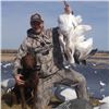 Image 4 : 3-Day & 3 Night Nebraska Private Pit Spring Snow Goose Hunt for 6 -March 20-23, 2025
