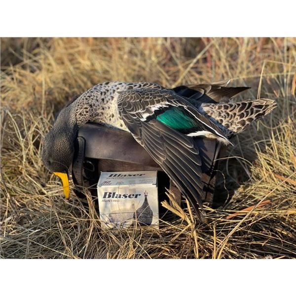 6-Day & 7- Night South Africa Waterfowl and Upland Hunt for 2!