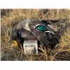 Image 1 : 6-Day & 7- Night South Africa Waterfowl and Upland Hunt for 2!
