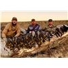 Image 2 : 6-Day & 7- Night South Africa Waterfowl and Upland Hunt for 2!